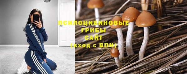 мескалин Армянск